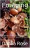 Foraging · Beginners Guide to Foraging Wild Edible Plants and Medicinal Herbs