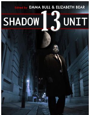 Shadow Unit 13