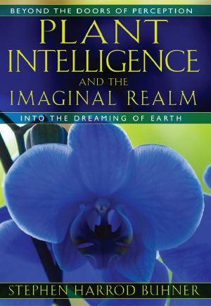 Plant Intelligence and the Imaginal Realm