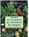 Tout Savoir Sur Les Plantes Qui Deviennent Des Drogues