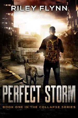 Collapse (Book 1) · Perfect Storm