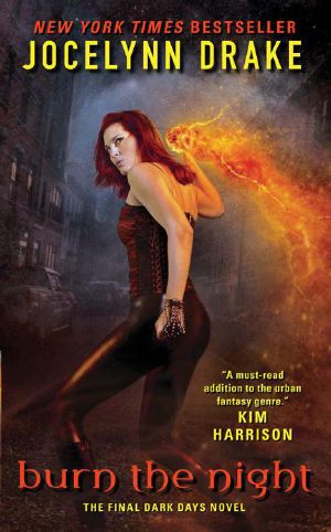 Burn the Night · the Final Dark Days Novel