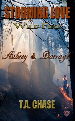 Storming Love · Wild Fire - Aubrey & Darragh