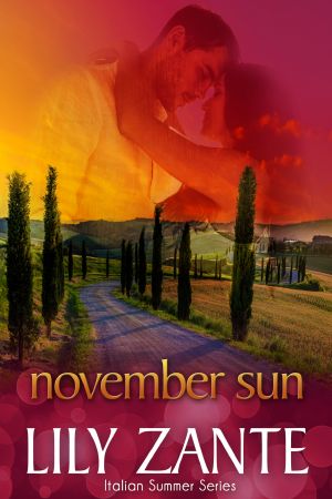 November Sun