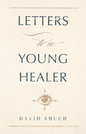 Letters to a Young Healer, Letters to a Young Healer