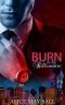 BURN for the Billionaire · A Billionaire Romance · Hot Billionaire Romance