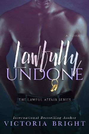 Lawfully Undone (Lawful Affair Book 2)