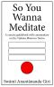 So You Wanna Meditate - a Concise Guidebook With Commentary on the Vijnana Bhairava Tantra