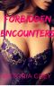 Forbidden Encounters