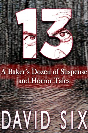 13 · A Baker’s Dozen of Suspense and Horror Tales