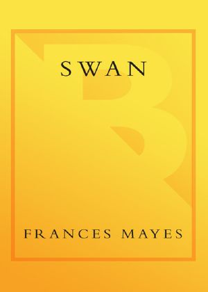 Swan