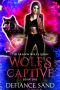 Wolf's Captive (The Dragon Wolf's Queen Book 1)