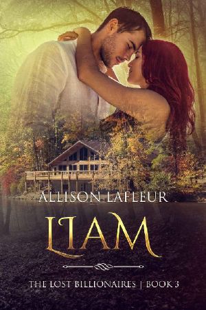 Liam · the Lost Billionaires, Book 3