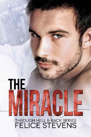 The Miracle: A Contemporary Gay Hanukkah Story (Through Hell and Back Book 4)