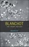 Blanchot and Literary Criticism