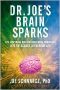 Dr. Joe’s Brain Sparks · 178 Inspiring and Enlightening Inquiries Into the Science of Everyday Life