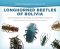 Photographic Guide to Longhorned Beetles of Bolivia