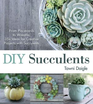 DIY Succulents · From Placecards to Wreaths, 35+ Ideas for Creative Projects With Succulents