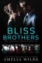 Bliss Brothers · the Complete Series Boxed Set
