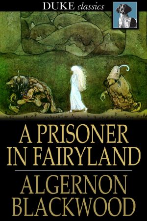 A Prisoner in Fairyland