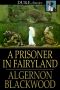 A Prisoner in Fairyland