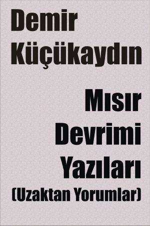 Mısır Devrimi Yazıları - Uzaktan Yorumlar