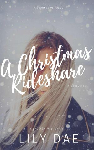 A Christmas Rideshare