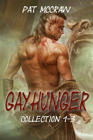 Gayhunger - Collection 1-3 (German Edition)