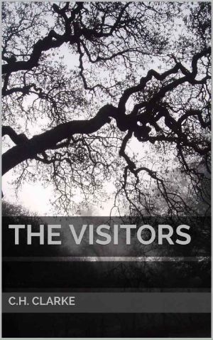 The Visitors