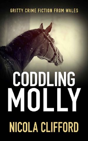 Coddling Molly: Gritty crime fiction from Wales (The Welsh crime mysteries Book 5)