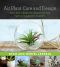 Air Plant Care and Design