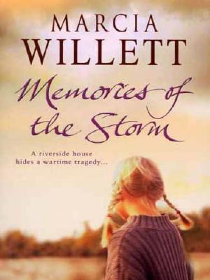 Memories of the Storm