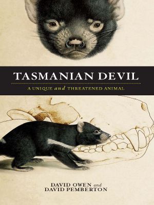 Tasmanian Devil