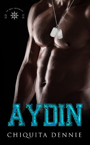 Aydin: a Grumpy boss Hate to Love Romantic Suspense