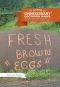 The Book of Unnecessary Quotation Marks