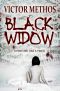 Black Widow - a Thriller (Jon Stanton Mysteries Book 7)