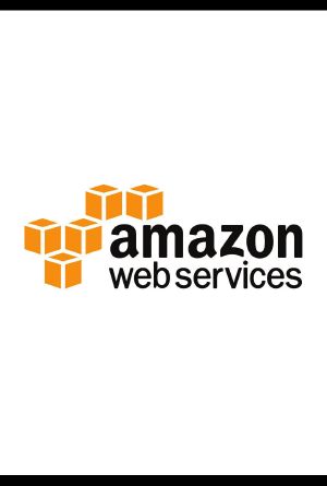 Guía práctica de AWS: Todo lo que necesita saber para gestionar la nube (Spanish Edition)