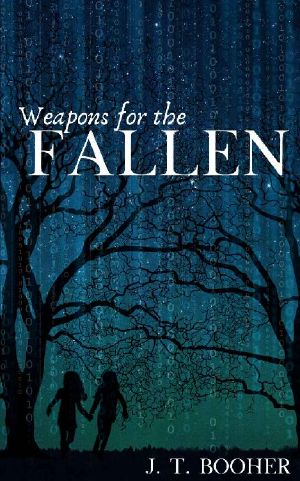 Weapons for the Fallen