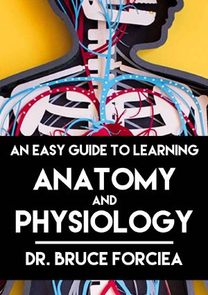 An Easy Guide to Learning Anatomy and Physiology