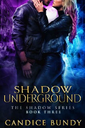 Shadow Underground: A Romantic Urban Fantasy Murder Mystery (The Shadow Series Book 3)