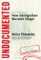 Undocumented · How Immigration Became Illegal (9780807001684)