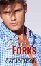 Zero Forks: An Opposites Attract Romance (Smalltown Secrets Book 4)