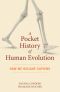 A Pocket History of Human Evolution