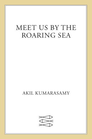 Meet Us by the Roaring Sea