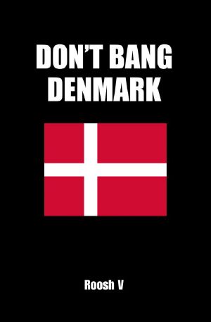 Don't Bang Denmark · How To Sleep With Danish Women In Denmark (If You Must)