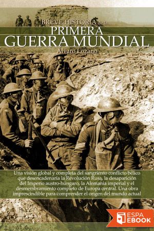 Breve Historia De La Primera Guerra Mundial