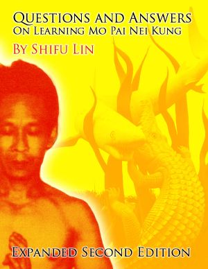 Questions and Answers on Learning Mo Pai Nei Kung · 2nd Edition