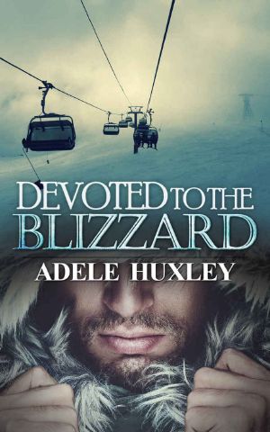 Devoted to the Blizzard · A Romantic Winter Thriller (Tellure Hollow Book 3)