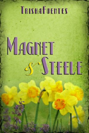 Magnet & Steele