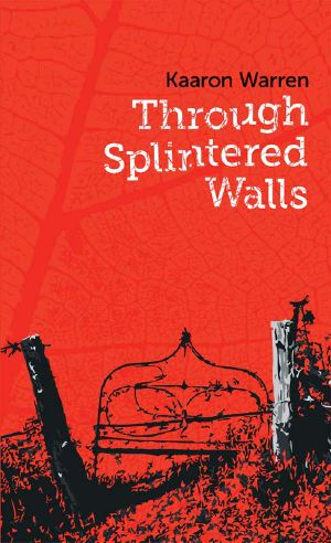 Through Splintered Walls